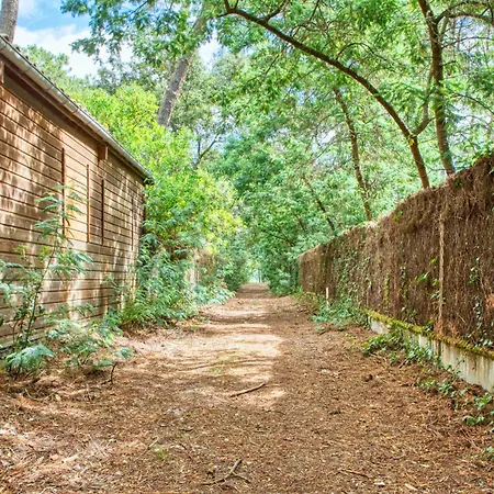 Etoile De By Interhome *