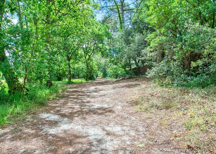 Horská chata Etoile De By Interhome *